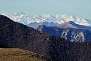 39 Zoom verso le Alpi Svizzere